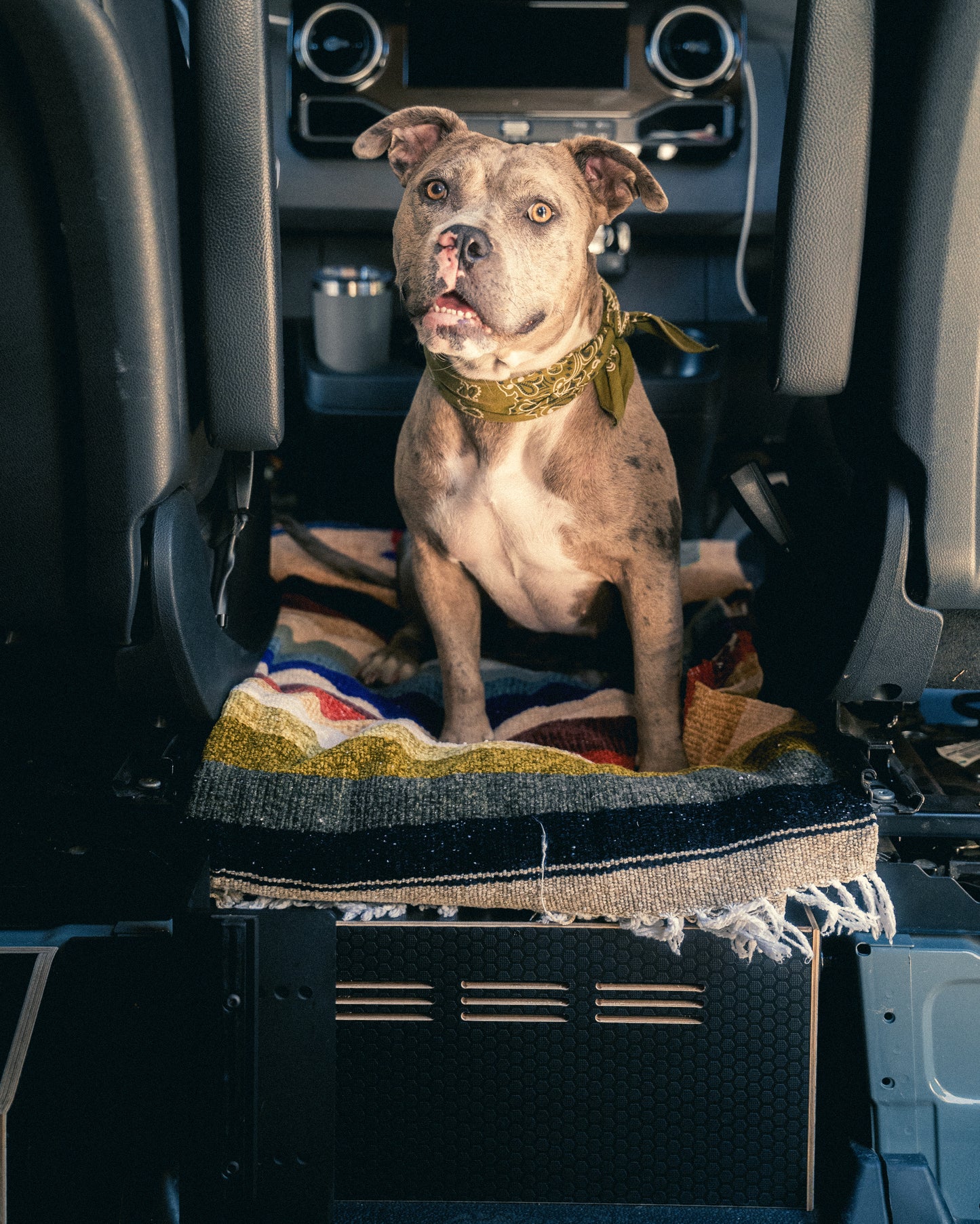 Sprinter Van Center Console Platform