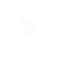 Routed Wild